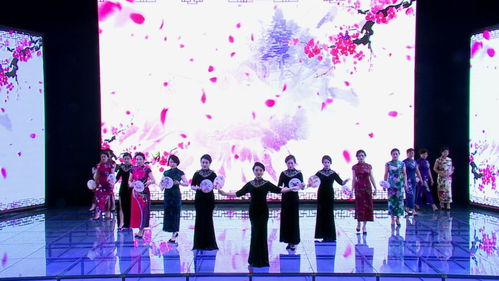 奇臺縣便民便企服務中心舉辦窗口服務禮儀展示活動，提升服務品質